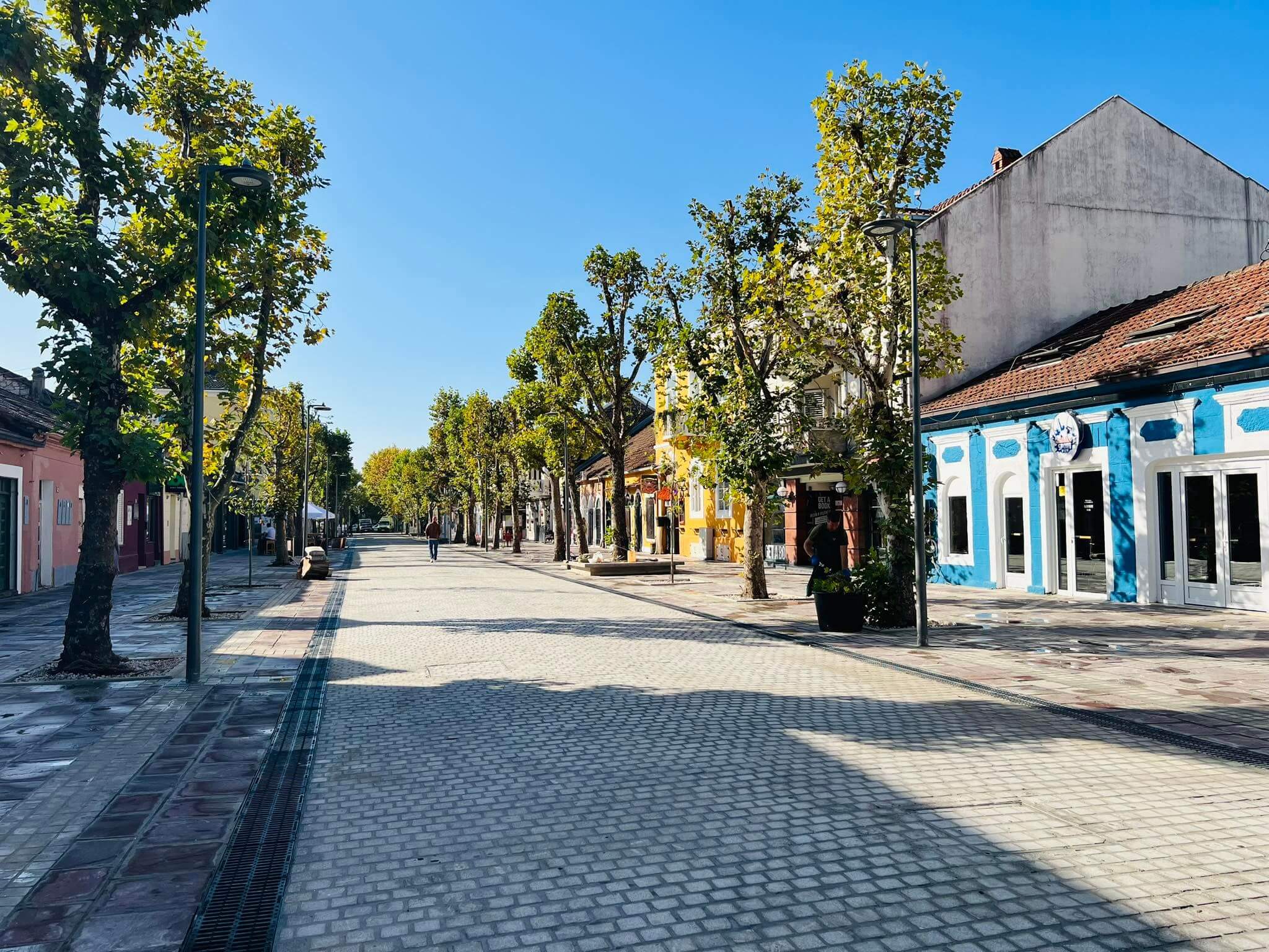 Njegoseva ulica zavrseni radovi (7)